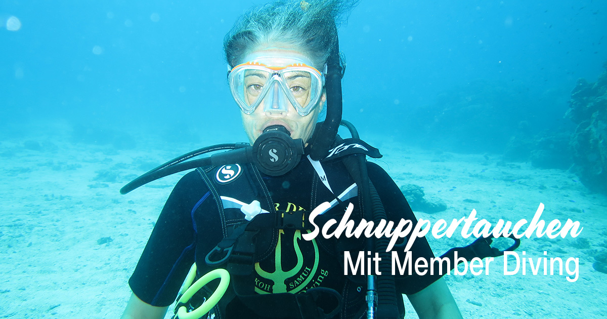 Ein aufregendes Abenteuer – Schnuppertauchen mit Member-Diving!