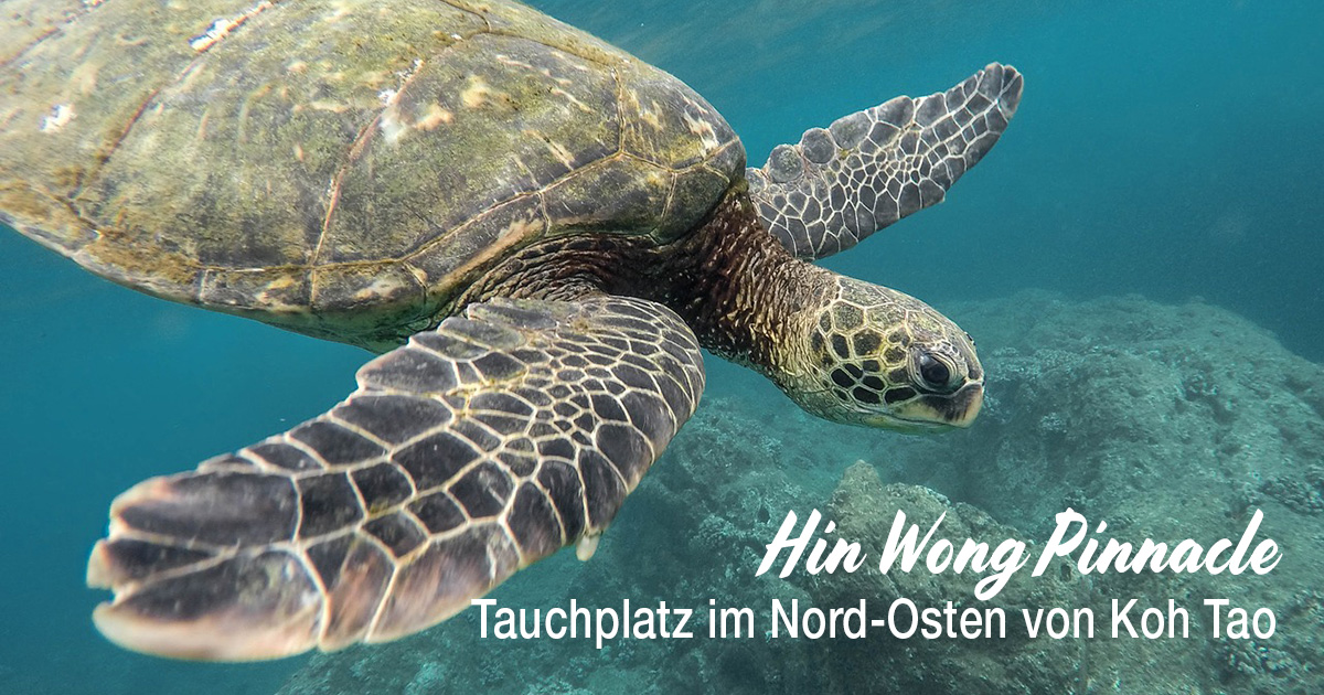Tauchplatz Hin Wong Pinnacle