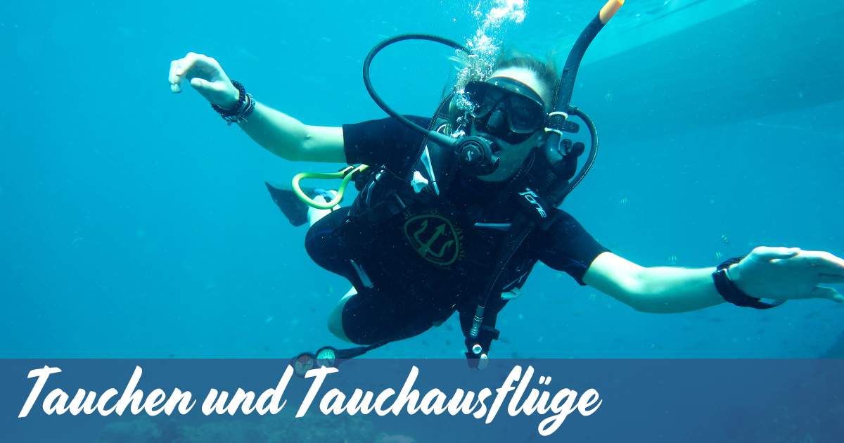 Tauchen und Tauchausflüge mit Member Diving