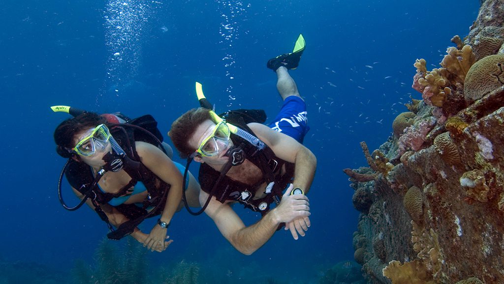 padi scuba diver tauchen um koh samui mit der schweizer tauchschule member diving zu padi scuba diver tauchen um koh samui mit der schweizer tauchschule member diving zu