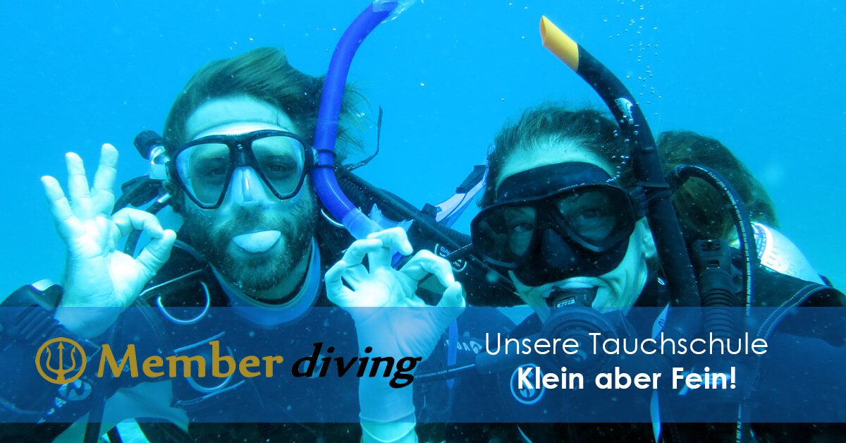 Klein aber Fein