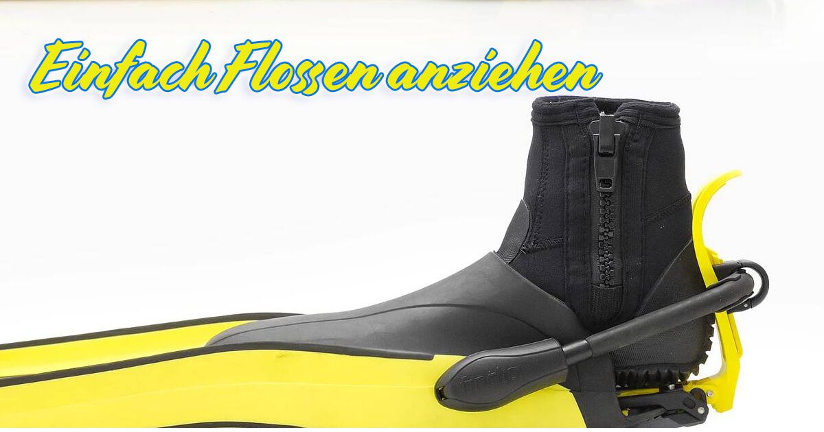 Einfach Flossen anziehen