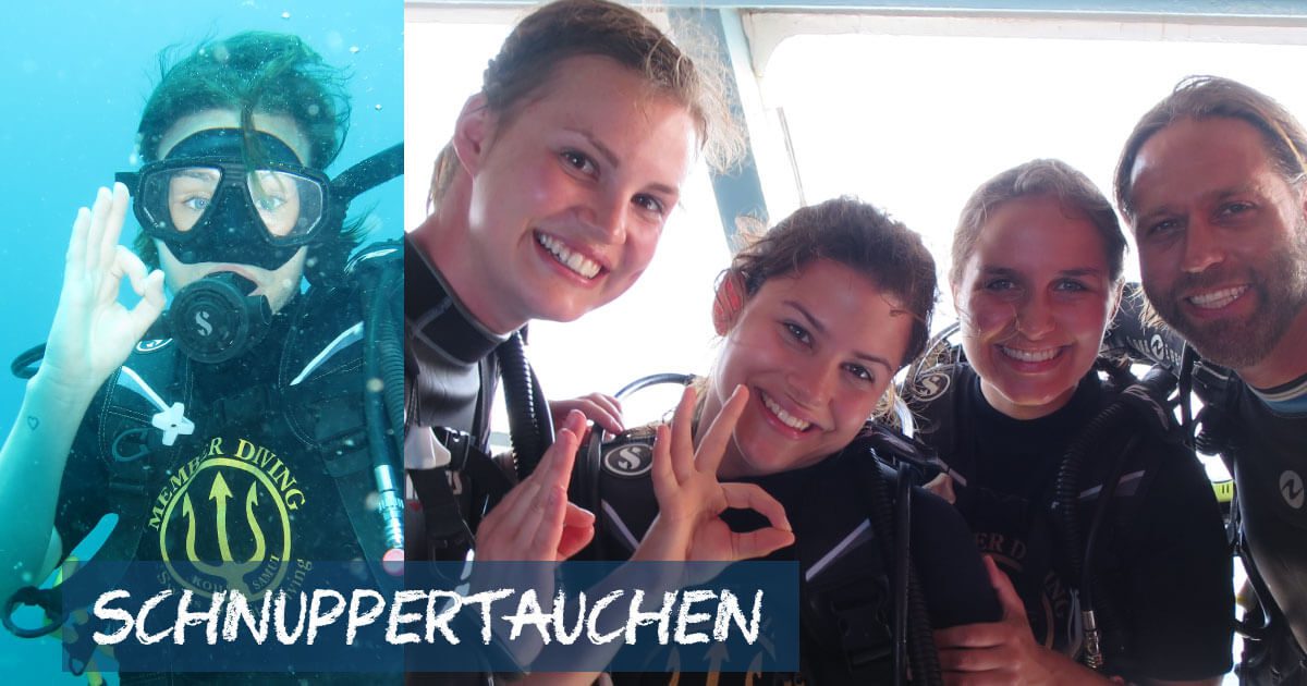 Schnuppertauchen
