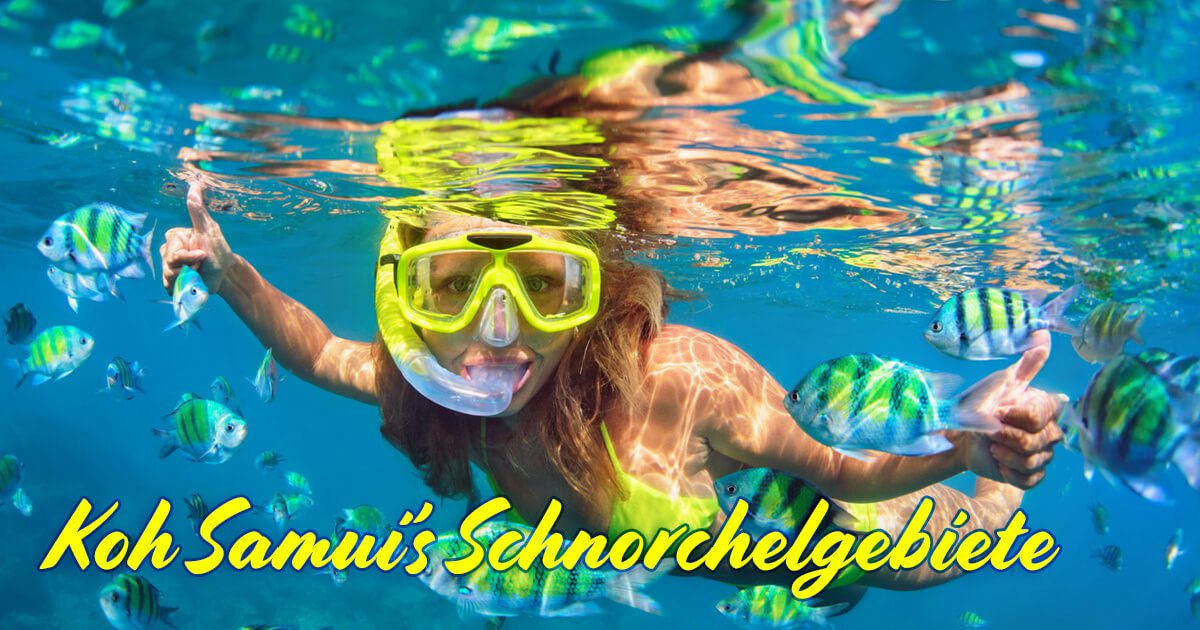 Koh Samui’s Schnorchelgebiete