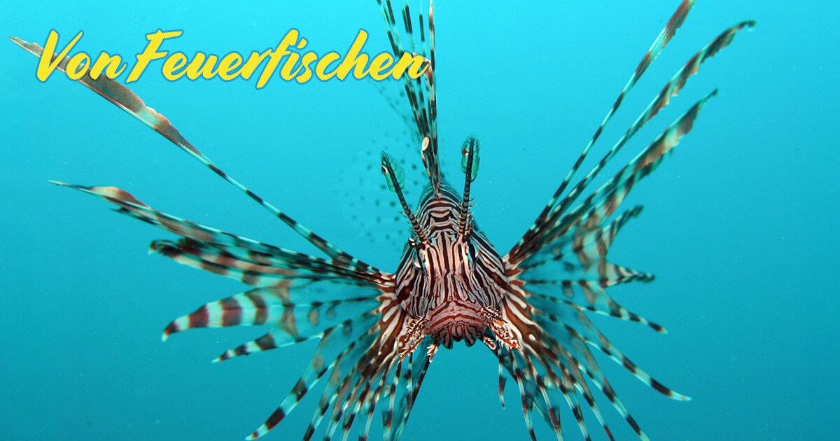 Von Feuerfischen