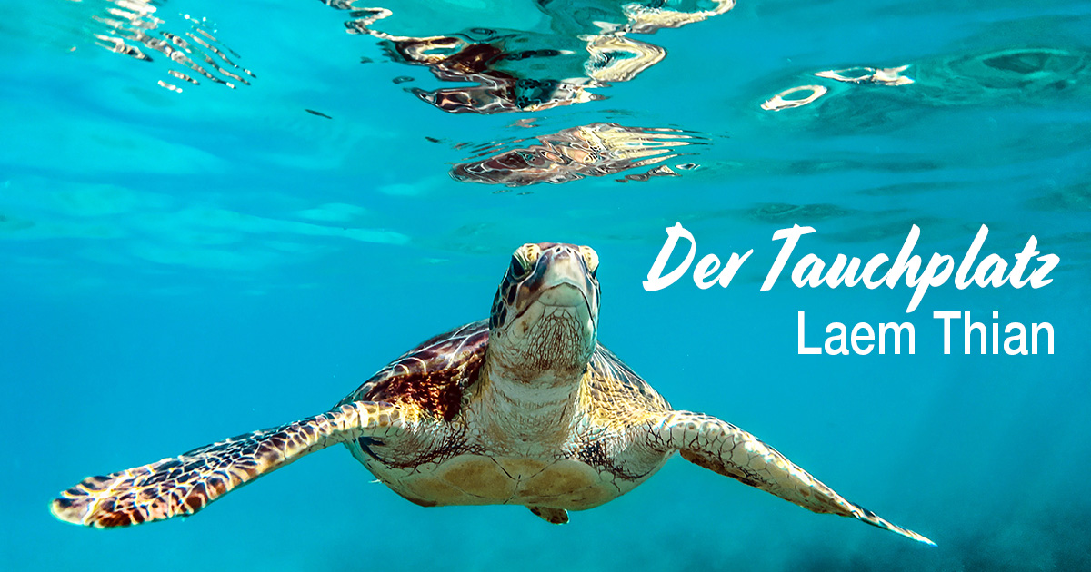 Der Tauchplatz Laem Thian bei Koh Tao