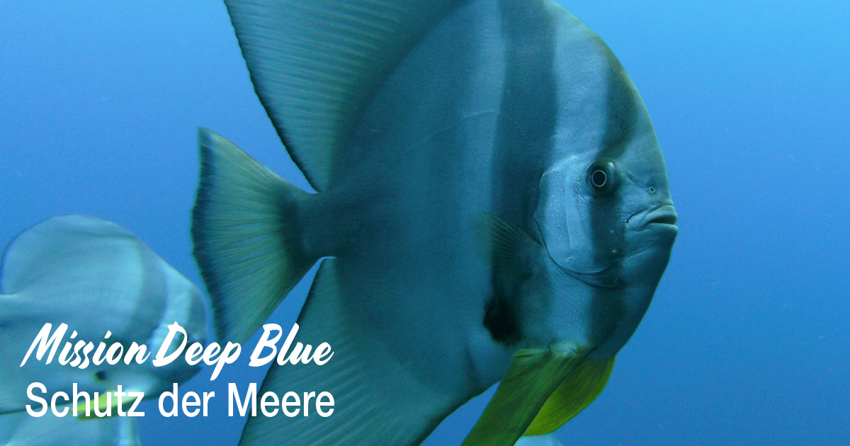 Mission Deep Blue