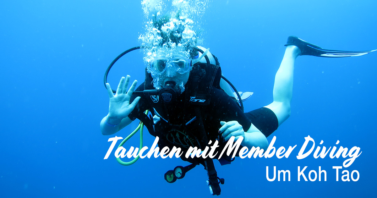 Tauchen um Koh Tao, mit Member Diving