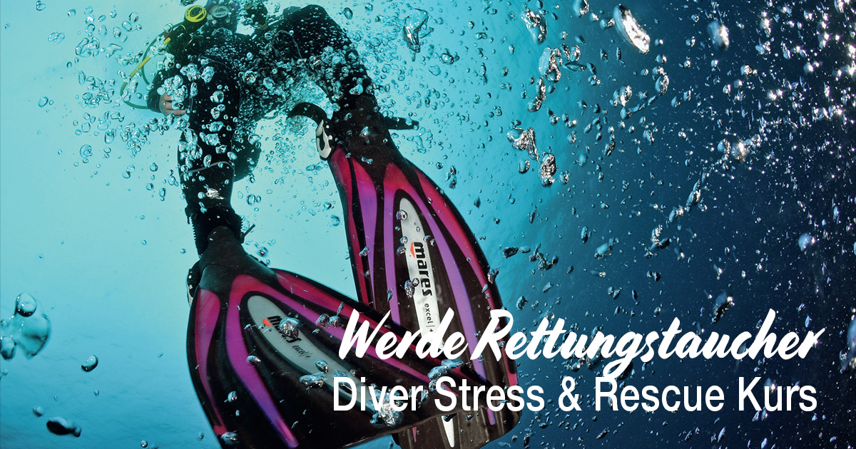 Werde Rettungstaucher, mach den Diver Stress & Rescue Kurs