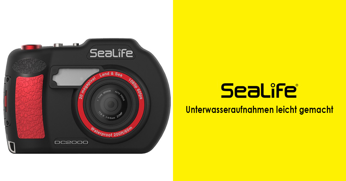 Sealife DC 2000 – Unterwasseraufnahmen leicht gemacht