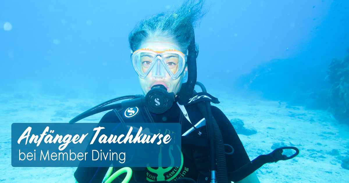 Anfänger Tauchkurse bei Member Diving